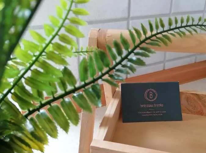 Bremke Am Alfsee Rieste